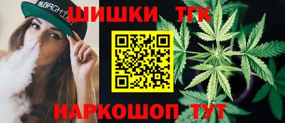 гашик Кингисепп