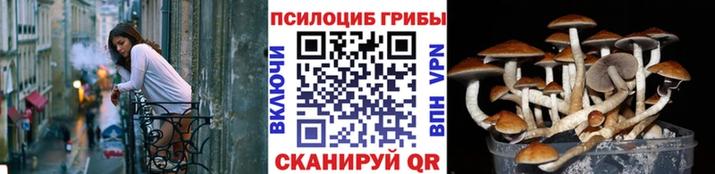 Псилоцибиновые грибы Magic Shrooms  hydra рабочий сайт  Кизляр 