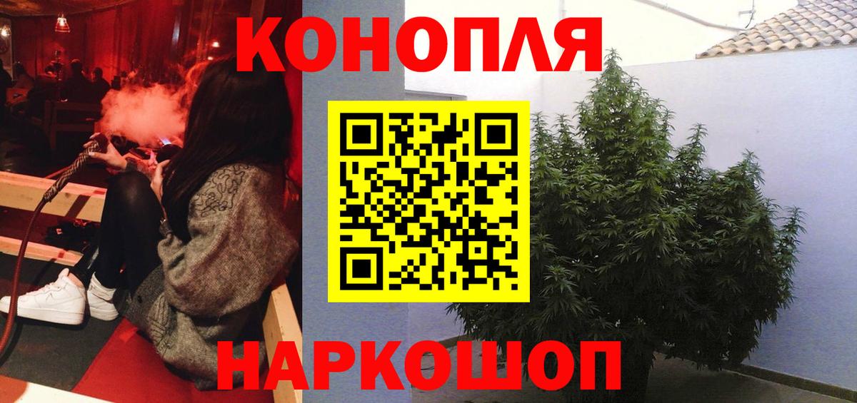 Кизляр  Бошки Шишки гибрид  Вход с VPN  Бошки марихуана семена  Марихуана индика  Канабис тримм 